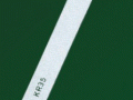 KR35747